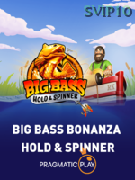 Big Bass   Hold And Spinner banner